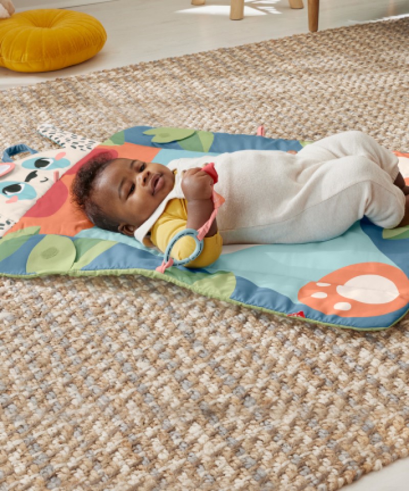 שמיכת פעילות פנדה רולי פולי - Fisher-Price