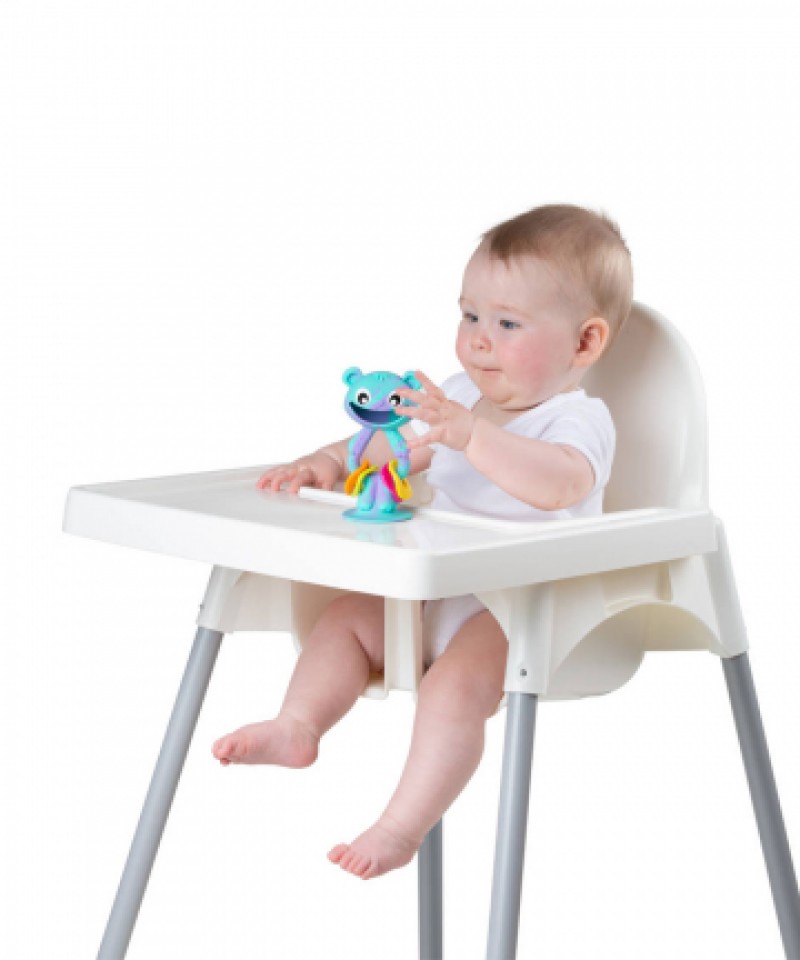 נשכן דובי Playgro
