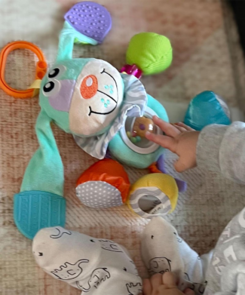 כלב פעילות נשכן Playgro
